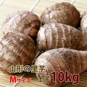 里芋 さといも 山形 送料無料 芋 土付き皮付き Ａ品 Mサイズ 10kg 丸勘山形 さといも サトイモ とろとろ 山形 海老芋 粉 皮むき 冷凍 芋煮会  農産物円｜kajuaru