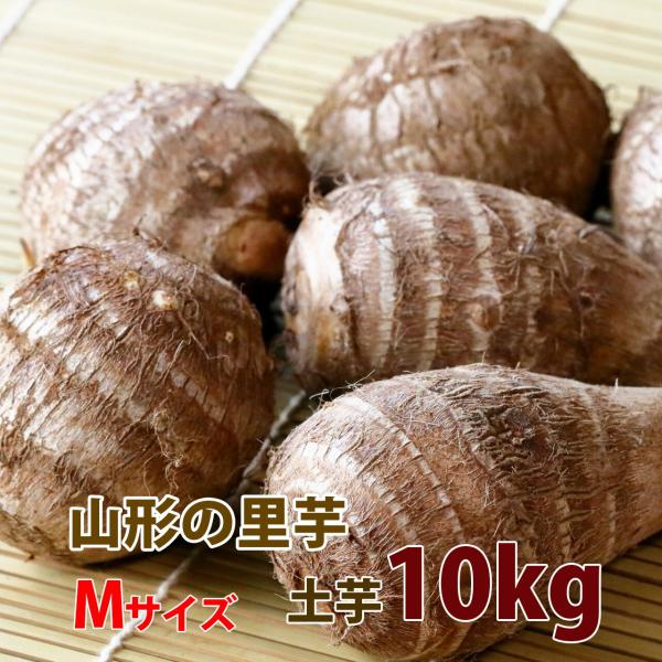 里芋 山形 送料無料 芋 土付き皮付き Ａ品 Mサイズ 10kg 丸勘山形 とろとろ 海老芋 粉 皮...