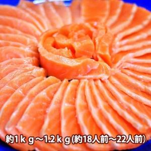 サーモン 刺身 みやぎサーモン 鮭 半身 約700g〜１ｋｇ未満 12人前 〜 17人前 国産 大 銀ざけ 銀鮭 アトランティックサーモン