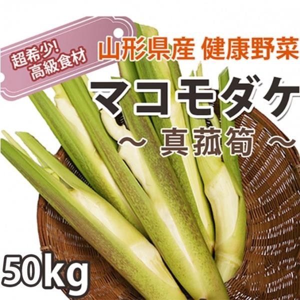 マコモダケ 50kg 約400本〜600本 送料無料 山形産 国産 真菰筍 マコモタケ マコモダケと...