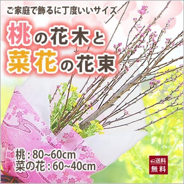 ひな祭り 桃の花 菜の花 花束 家庭で飾るに丁度いいサイズ ブーケ 桃 花ギフト 送料無料 節句 ひ...