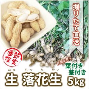 生落花生 山形産  品種おまかせ 5kg 殻付き 葉付 時期で変わります