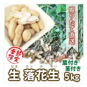 落花生 生落花生 茹で落花生 5kg おおまさり おおまさり落花生 郷の香 国産 山形産 葉付き 殻...