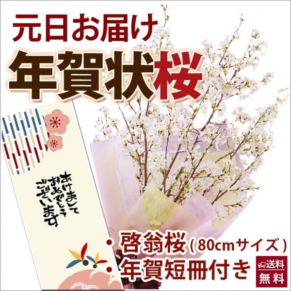 啓翁桜 年賀状桜 80ｃｍ 7〜８本 ホワイトデー 誕生日 卒業 送別 ひな祭り 桃の節句 花束プレ...