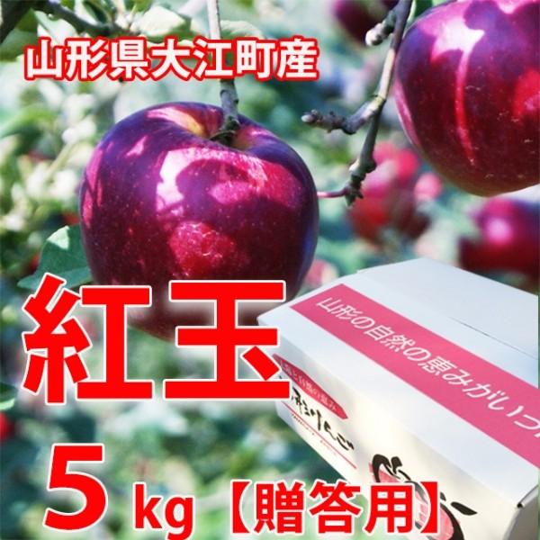 りんご リンゴ リンゴ 紅玉 こうぎょく りんご ５kg 贈答用 山形県大江町本郷 こおぎょく