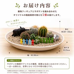 サボテン 寄せ植え 動物の箱庭 ミニガーデン ...の詳細画像5