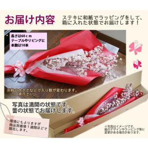 啓翁桜 特級80cm 7〜8本入り 10個 ま...の詳細画像3