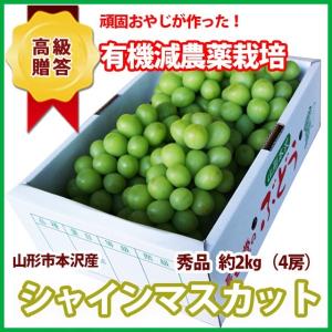 富士の輝 ブラックシャインマスカット 葡萄 約800g〜1kg 2房入り 山梨