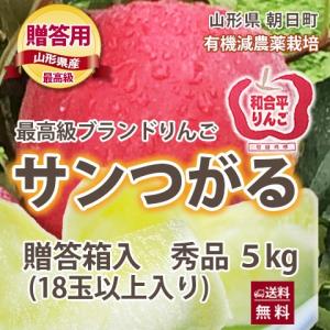 リンゴ リンゴ りんご つがる ツガル サンつがる 贈答用 5kg 約18玉入り 有機減農薬栽培 朝日町 和合平 葉取らずりんご 送料無料 送料無料