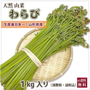 山形産ワラビ１０kg 山形県産 山菜 天然わらび 蕨 生ワラビ 生わらび 10kg 送料無料 天然