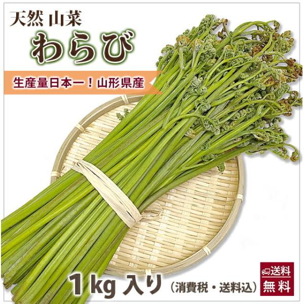 山形県産 山菜 天然わらび 蕨 １kg 送料無料 天然 村山市 山形 ワラビ ワラビの採れる場所 漢...