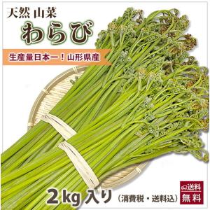 山形県産 山菜 天然わらび 蕨 2kg 送料無料 天然 村山市 山形 ワラビ ワラビの採れる場所 漢...