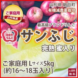 りんご リンゴ サンふじ家庭用 ご家庭用 訳あり Ｌサイズ 5kg  16〜18玉入り 和合平 葉取らずりんご 蜜入り 有機減農薬栽培 送料無料
