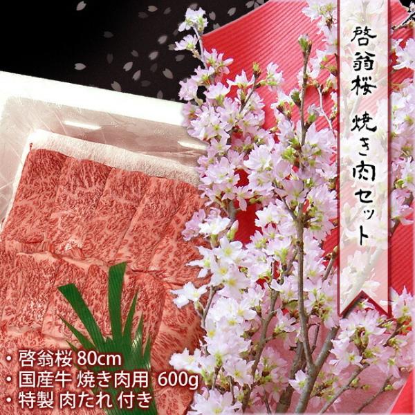 送料無料 啓翁桜 80cm 焼肉 600g セット 山形牛 国産牛 誕生日 卒業 送別 ひな祭り 桃...