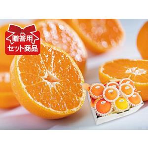 柑橘詰め合わせ(1)「茜 (あかね)セット」｜kajuen