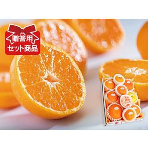 柑橘詰め合わせ(2)「碧(あおい)セット」｜kajuen