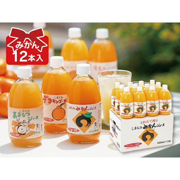 みかんジュース　愛媛みかんジュース(12本)