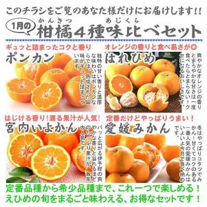 1月の柑橘4種味比べ「プチ」セット｜kajuen
