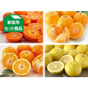 2月の柑橘4種味比べ「満足」セット