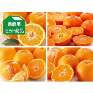 2月の柑橘4種味比べ「満足」セット