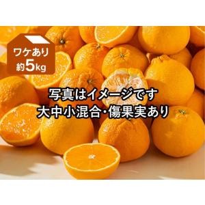 ワケありデコタンゴール約5kg