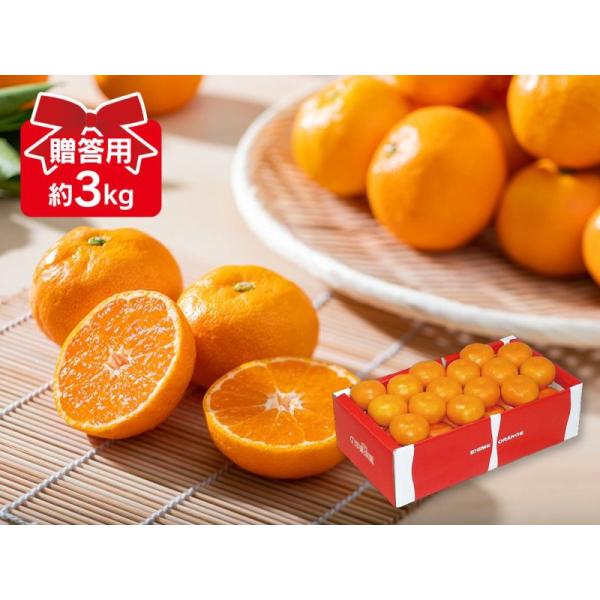 みかん　ハウスみかん3kg-贈答用