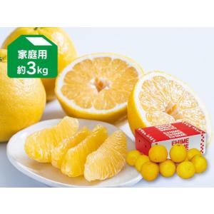 河内晩柑（ジューシーオレンジ）約3kg-家庭用｜kajuen