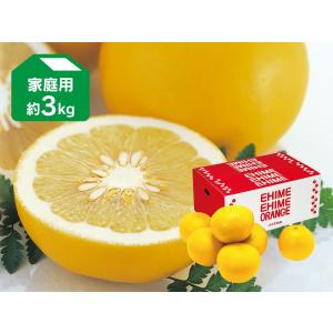 大阪・関西万博 EXPO2025 ミャクミャク レスポワール ギフト