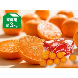 みかん　露地せとか約3kg-家庭用