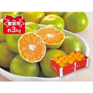 みかん　愛媛みかん（極早生みかん）3kg-贈答用