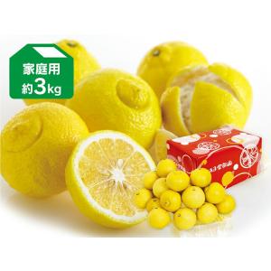 山口周防大島産『はるみ 家庭用 小箱 約2.5kg』サイズ無選別 : こば