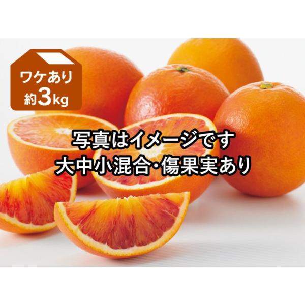 ワケありブラッドオレンジ約３kg