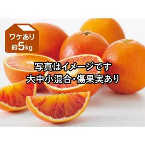 ワケありブラッドオレンジ約５kg｜のま果樹園