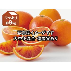 ワケありブラッドオレンジ約3kg : のま果樹園 - 通販 - Yahoo
