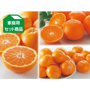 こたつでみかんプチセット(愛媛みかん・はれひめ・...の商品画像