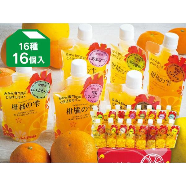 飲むゼリー　プレミアム味くらべゼリー16種類(おまかせ16個)セット（柑橘の雫・各1個）