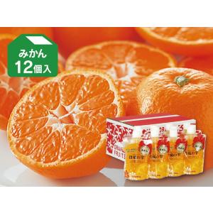 飲むゼリー 柑橘の雫 みかん8個入り : のま果樹園 - 通販 - Yahoo