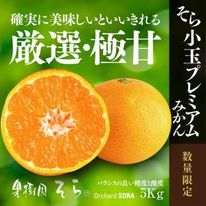 そらみかん【天空の農園/極上小玉】5kg