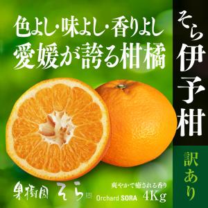 そら伊予柑【天空の農園/訳あり】4kg