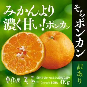 そらポンカン【天空の農園/農家直送みかん/訳あり】4kg