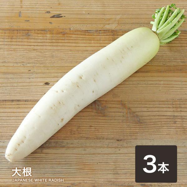 大根 ３本 送料無料 だいこん 大根おろし サラダ おでん 煮物 豚汁 切干大根 ぶり大根 定番 万...