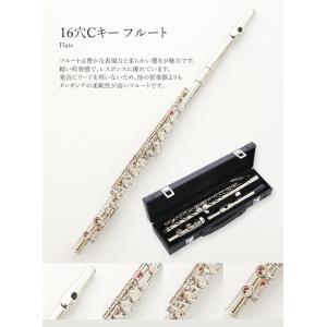 フルート フルートセット 初心者セット 初心者...の詳細画像1