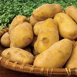 じゃがいも ジャガイモ 送料無料 1kg ~ 10kg 新ジャガイモ 新じゃがいも メークイン 野菜 ジャガイモ 新じゃが