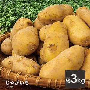 じゃがいも ジャガイモ 送料無料 3kg 新ジャ...の商品画像
