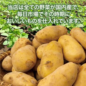 じゃがいも ジャガイモ 送料無料 3kg 新ジ...の詳細画像3
