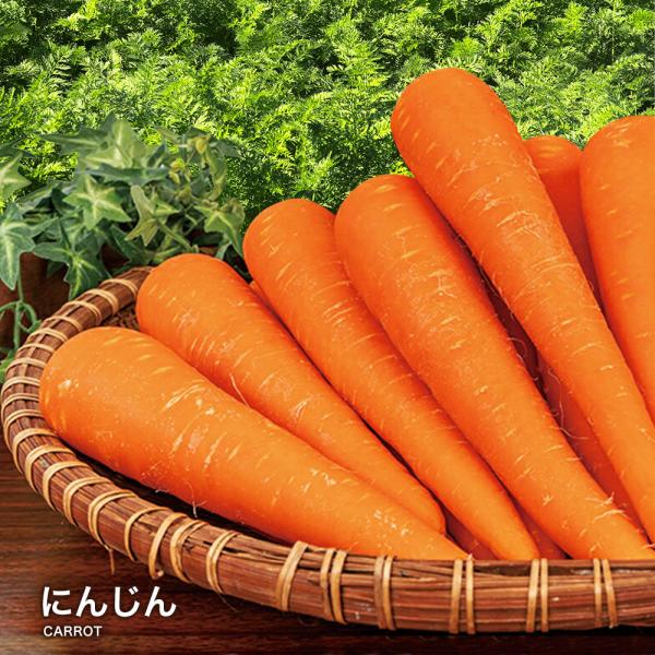 【営業日当日発送】  にんじん 1kg〜5kg ジュース用 人参 国産 送料無料 ニンジン 人参ジュ...