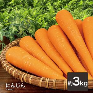 ピーマン 500g 送料無料 定番 万能 野菜 緑黄色 ぴーまん ピーマン肉