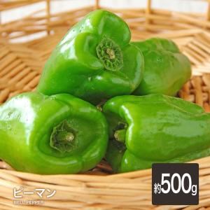 ピーマン 500g  定番 万能 野菜 緑黄色 ぴーまん ピーマン肉詰め