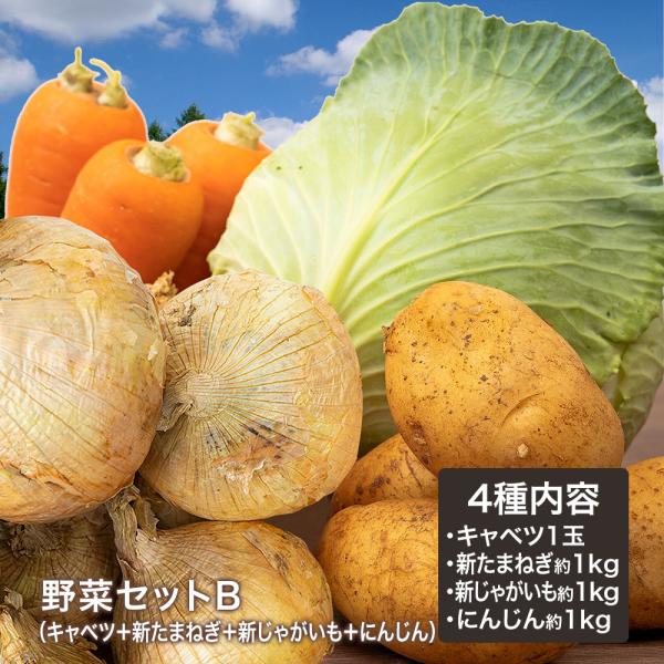 野菜セットB（キャベツ1玉・新たまねぎ約1kg・新じゃがいも約1kg・にんじん約1kg）4種セット ...
