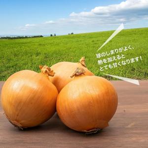 【営業日当日発送】 たまねぎ 玉ねぎ 国産 L...の詳細画像1